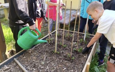 Permakultura u praksi: Školski vrt iz Erasmus+ projekta