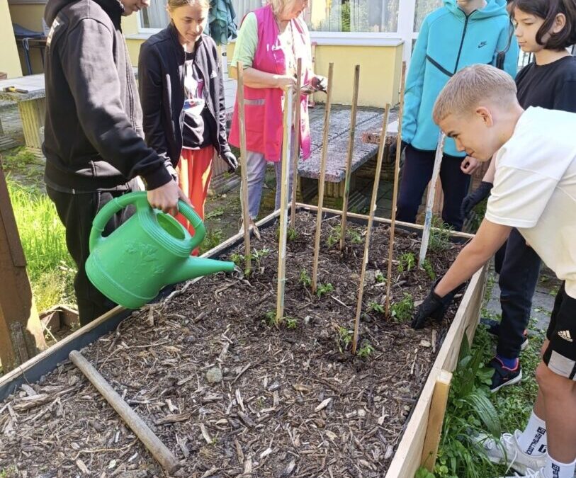 Permakultura u praksi: Školski vrt iz Erasmus+ projekta
