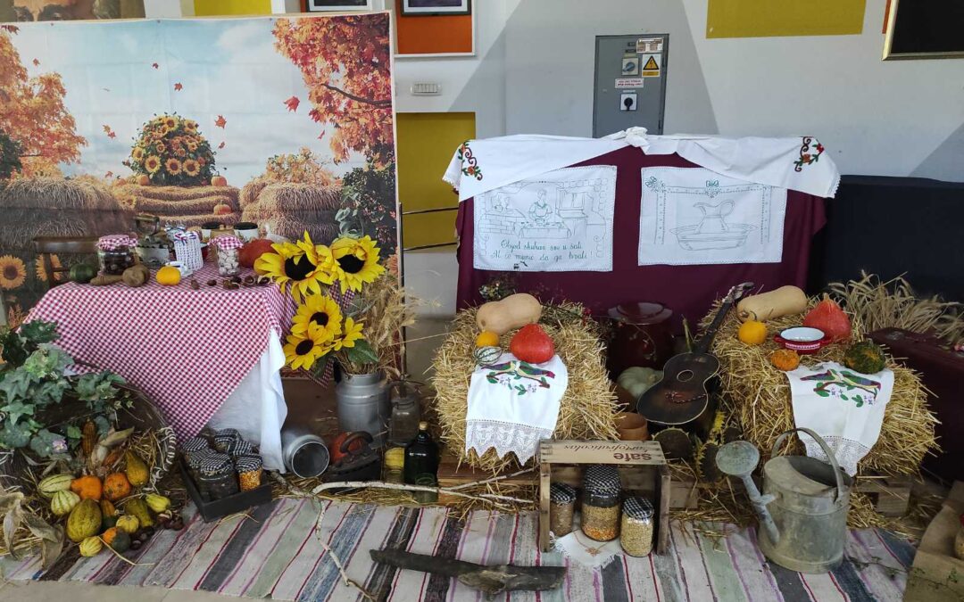 24.Čepinski suncokreti