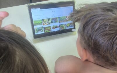 3.b u potrazi za savršenim biljkama za školski vrt