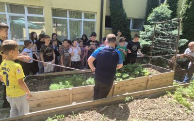 Pametni sustav navodnjavanja u školskom vrtu