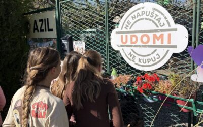 Volonterski klub u našoj školi: prve akcije iza nas!